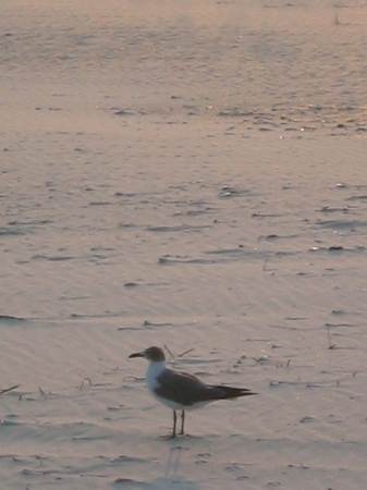 standingalone